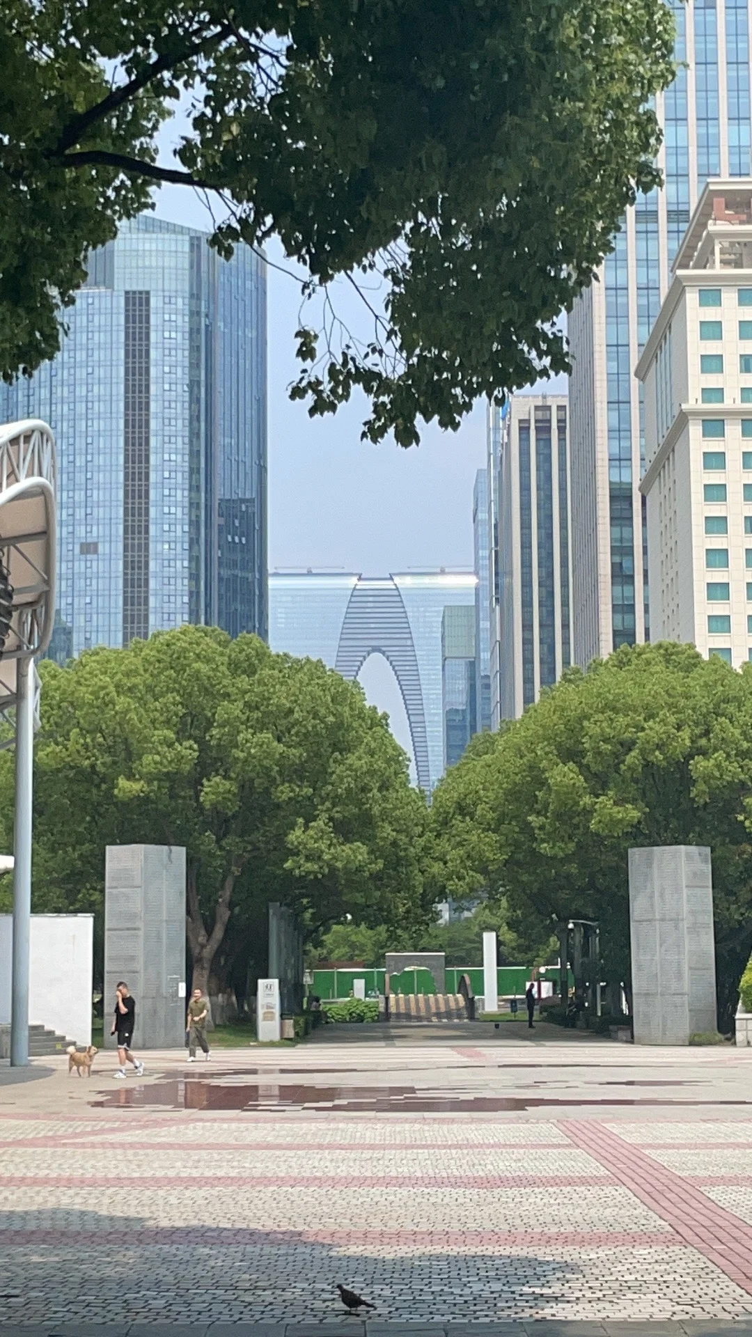 建筑业转行招投标