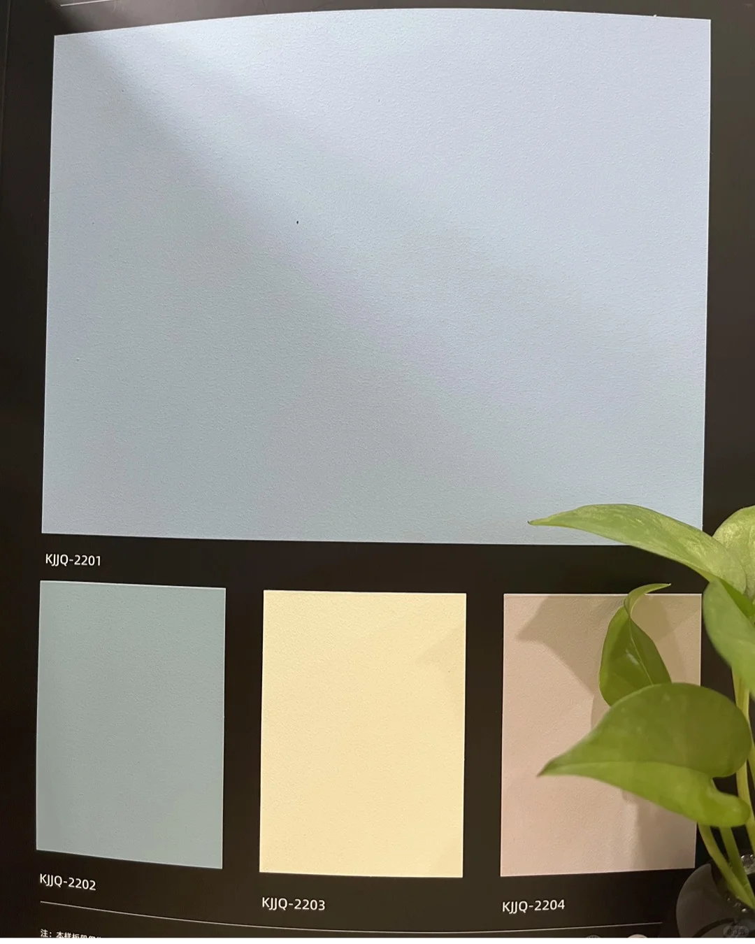 ?抗菌净醛艺术涂料，守护家人健康！