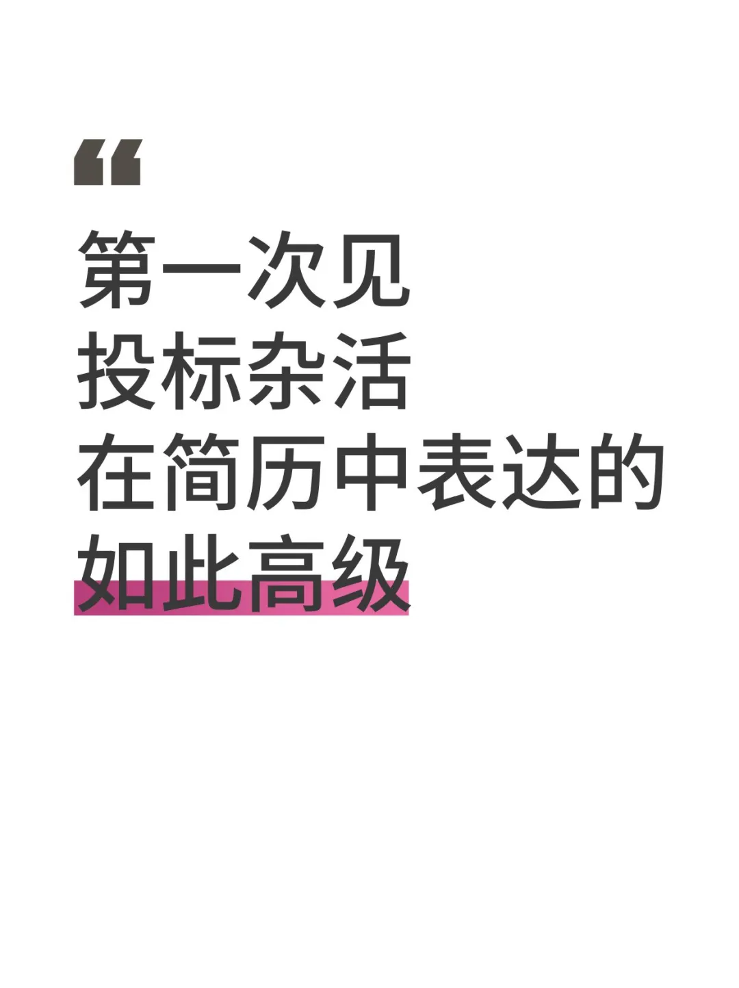 第一次见 投标杂活在简历中表达的如此高级