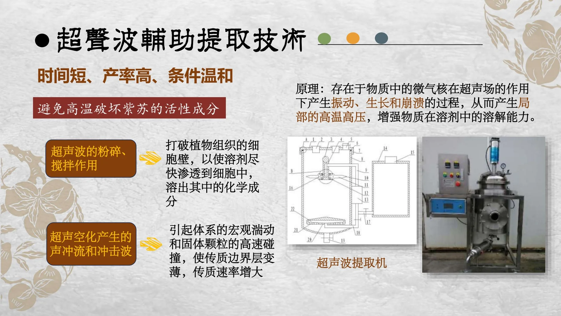 新型紫苏饮产品
