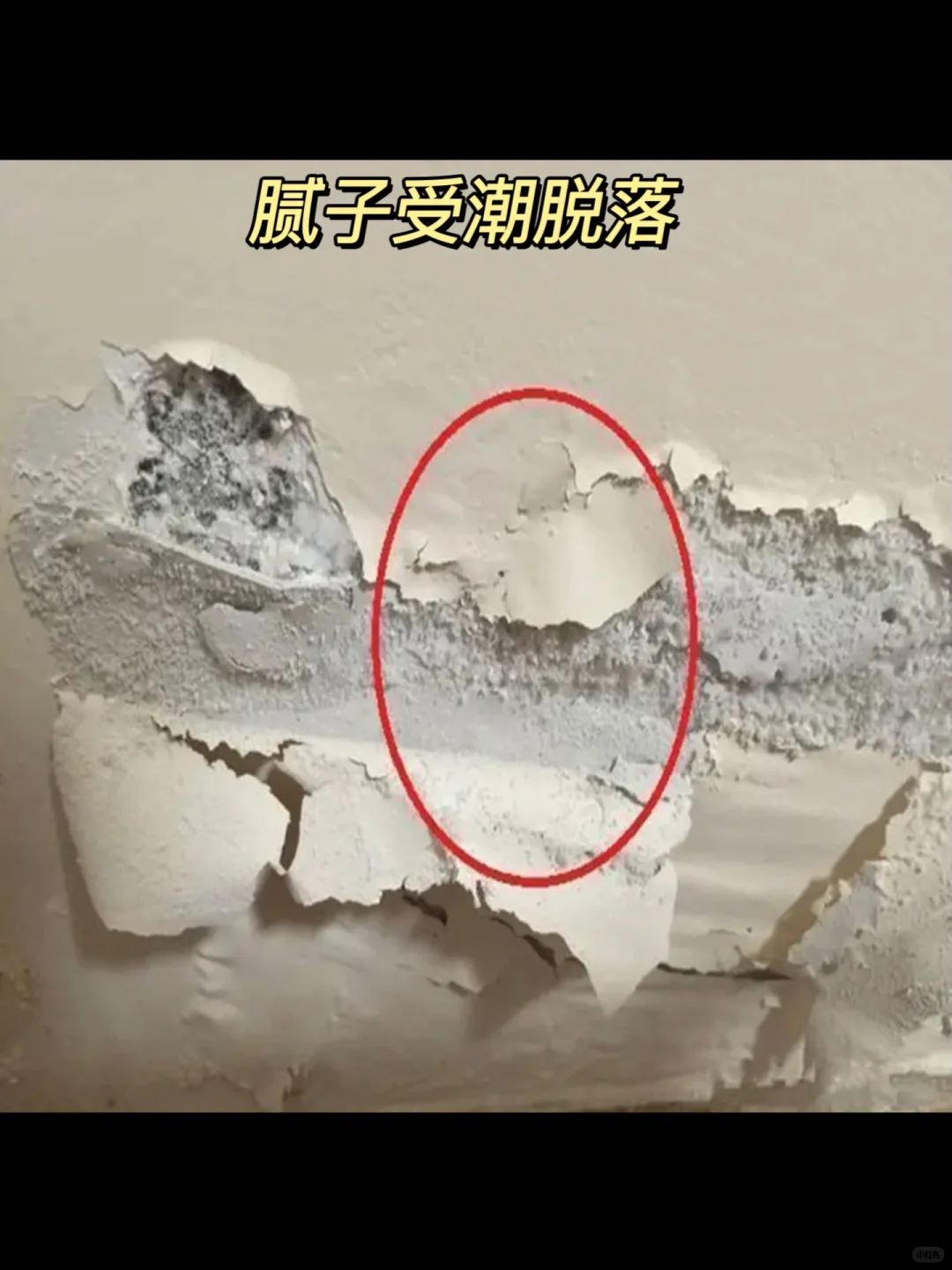 姐妹们！回南天装修，真的别搞砸了！