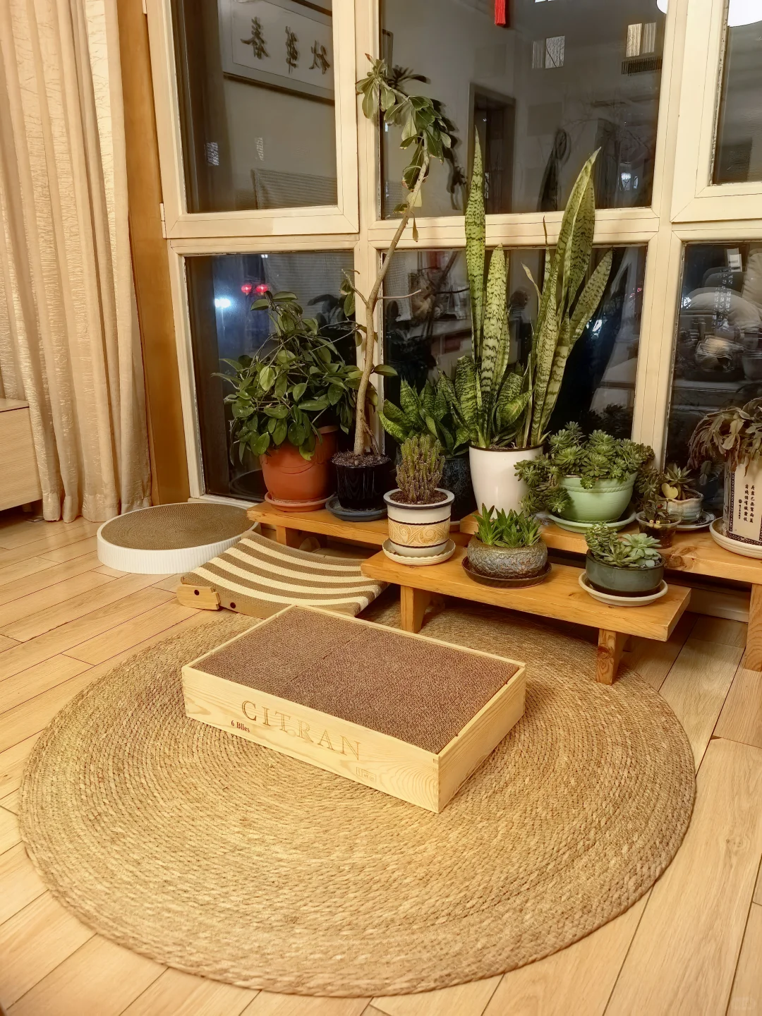 1年1度购物狂欢|高颜值家居蒲草地垫?