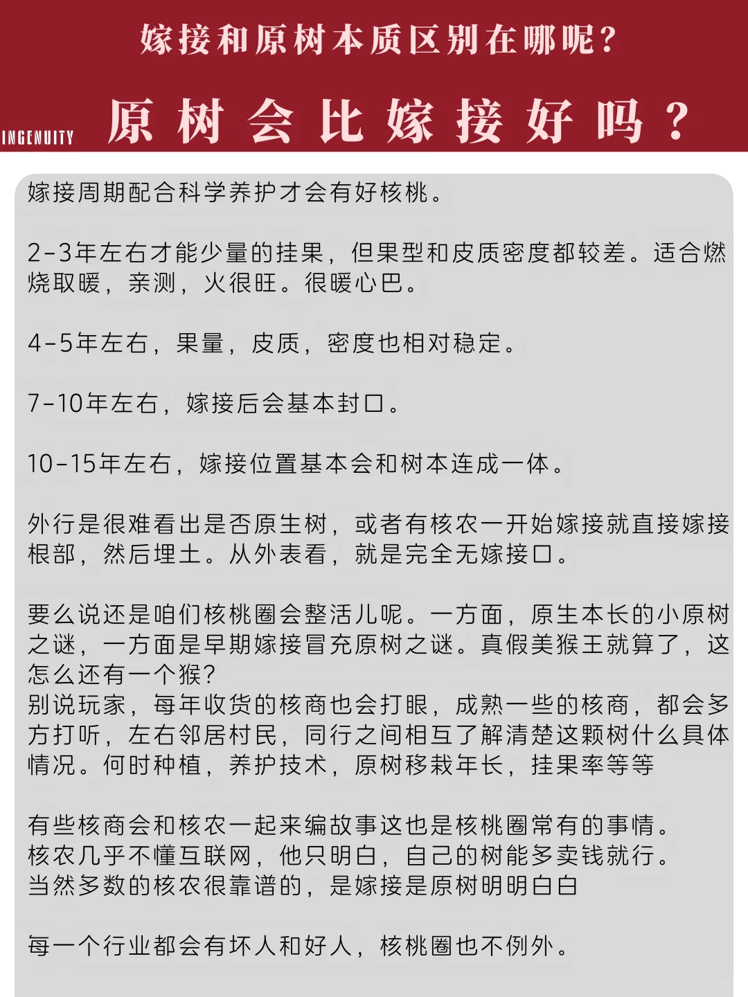 云收带您深入解析文玩核桃那些事儿