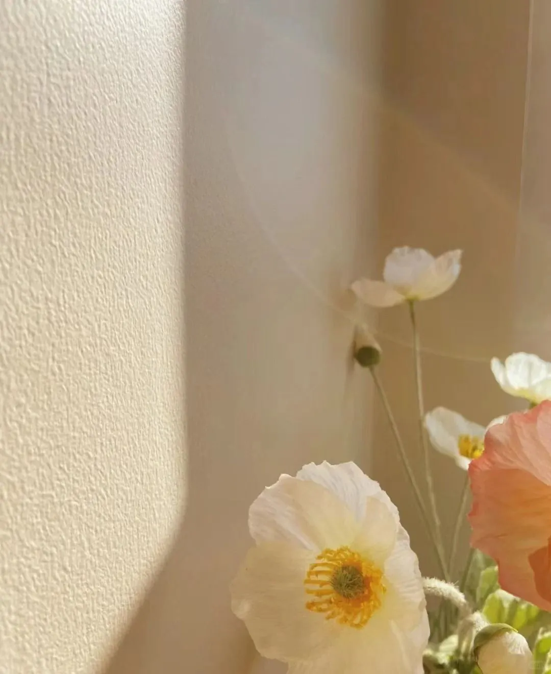 帝卡斯小羊皮：夏日家居的清凉质感之选