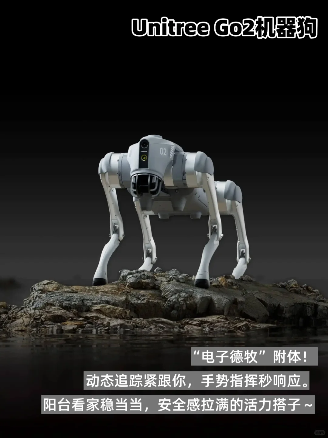 ?2025黑科技机器人集合！独居/带娃/宅家党