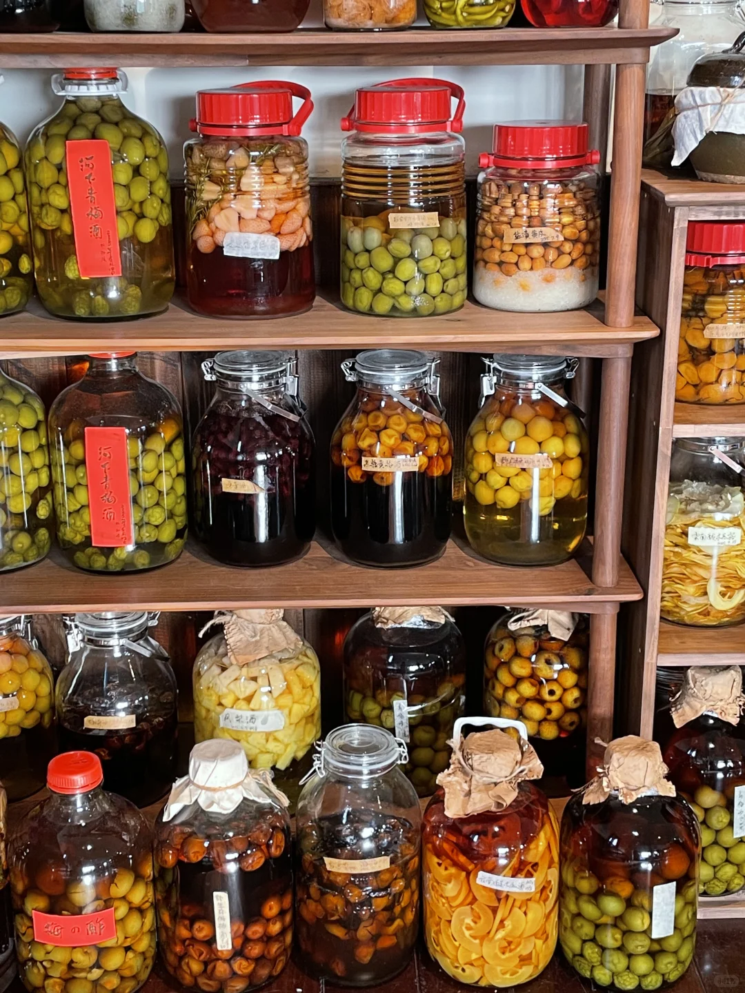 瓶瓶罐罐的我的生活