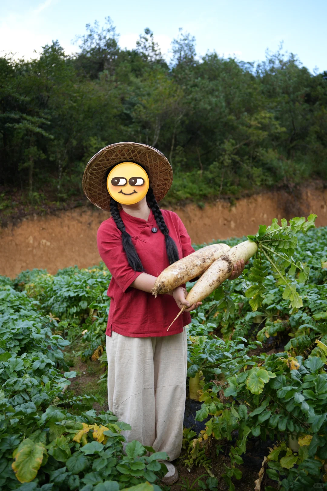 倒逼业务线条做食材溯源定标