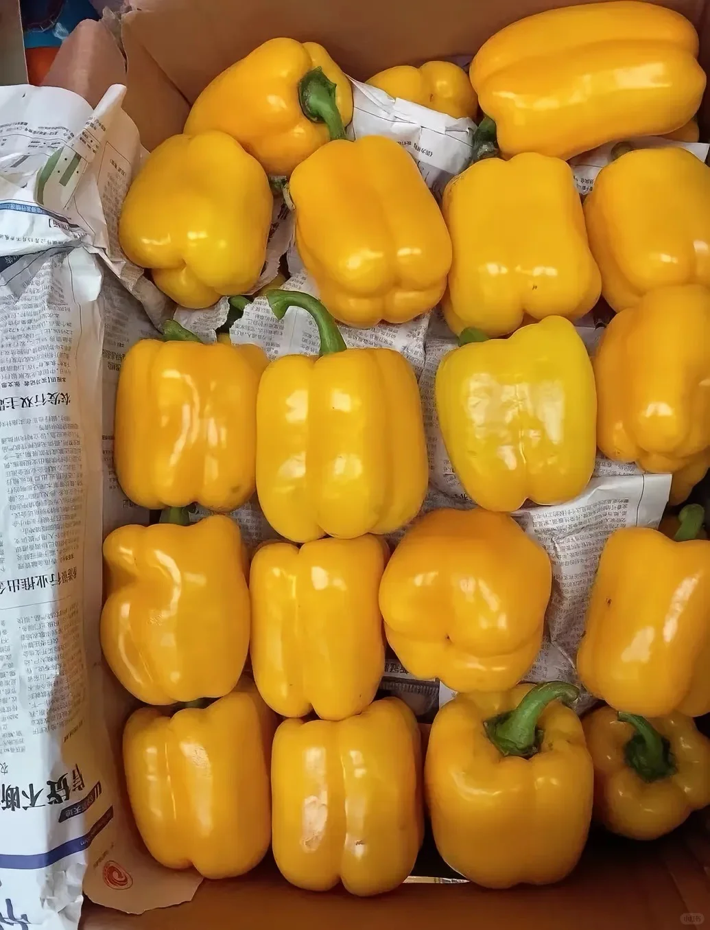 上海 全区 食材 餐饮 供应 配送