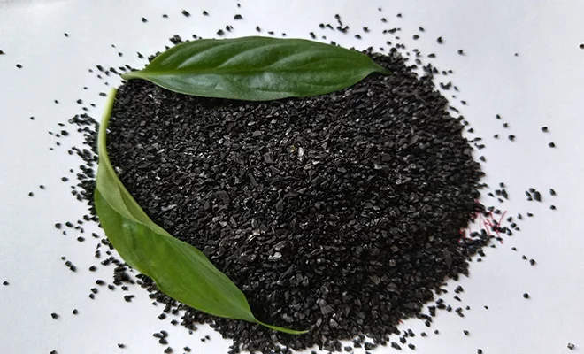 活性炭在水处理中的应用