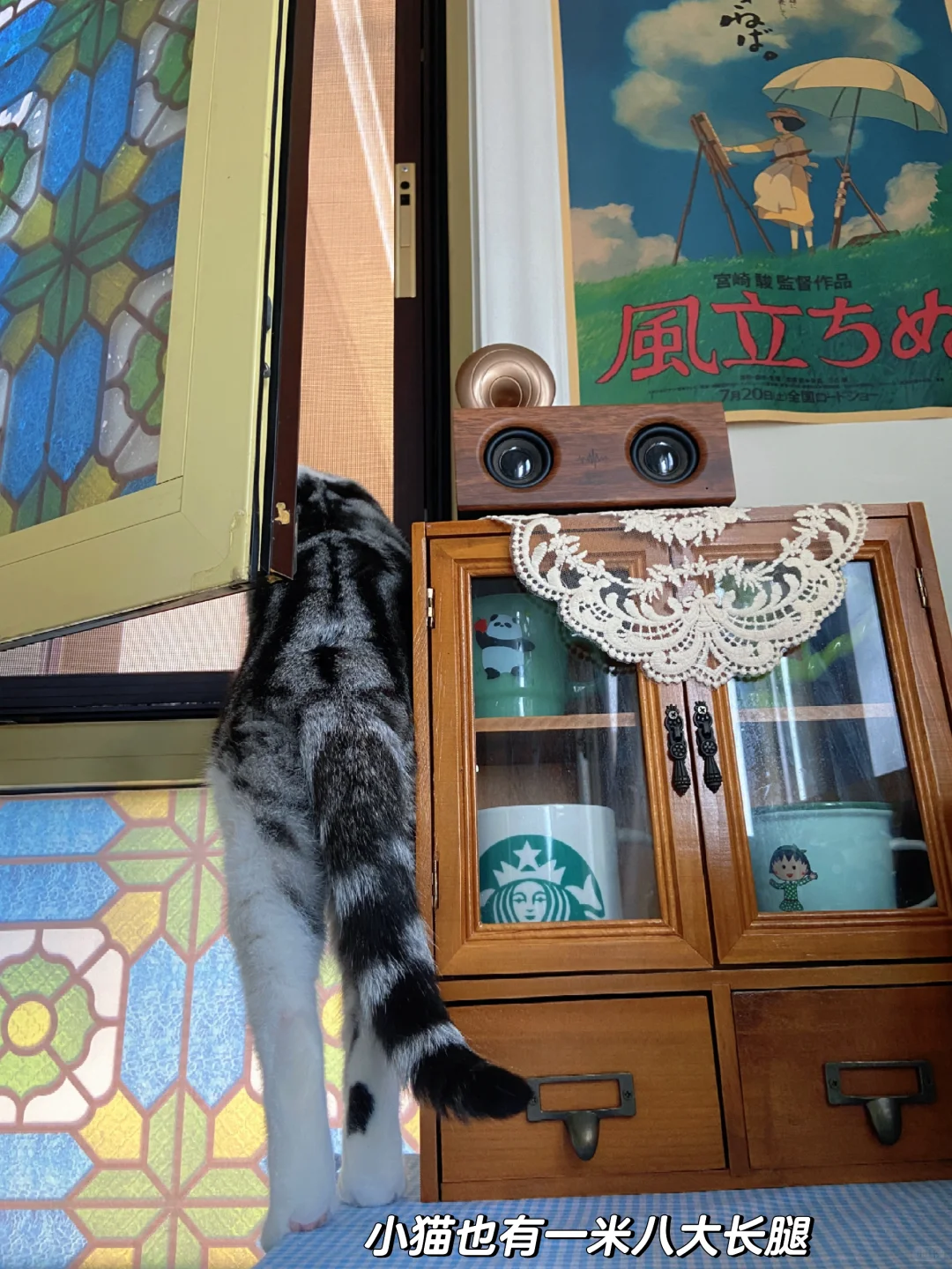 我住在干净清爽的房间里过干净清爽的生活