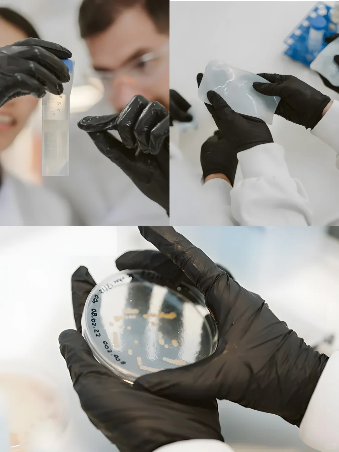 微生物织锦是什么?什么特点?可以做什么?