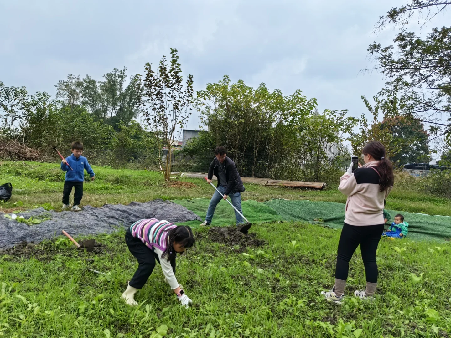 农场首批租户首耕开种啦，大人孩子都很尽兴
