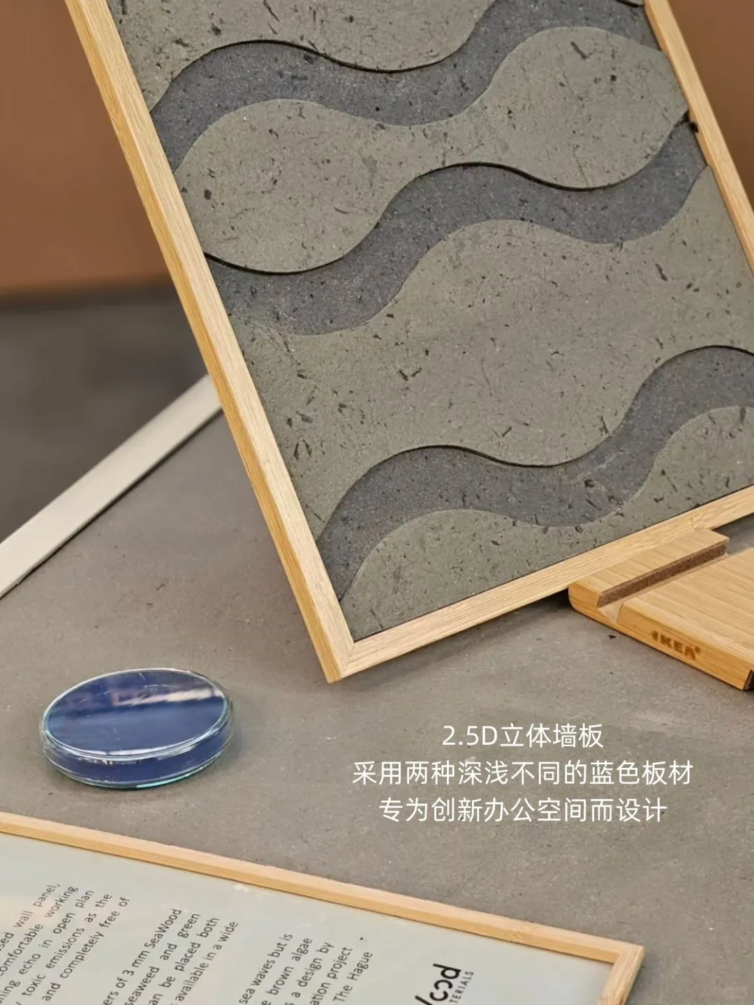 来自海洋的礼物:能吸碳,可降噪,可降解