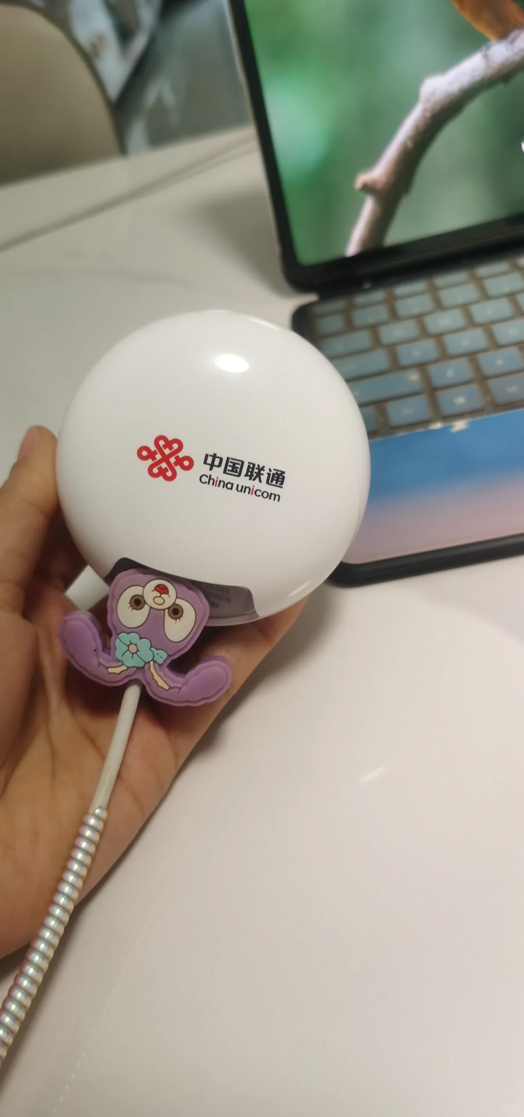 用联通wifi一个多月真实感受