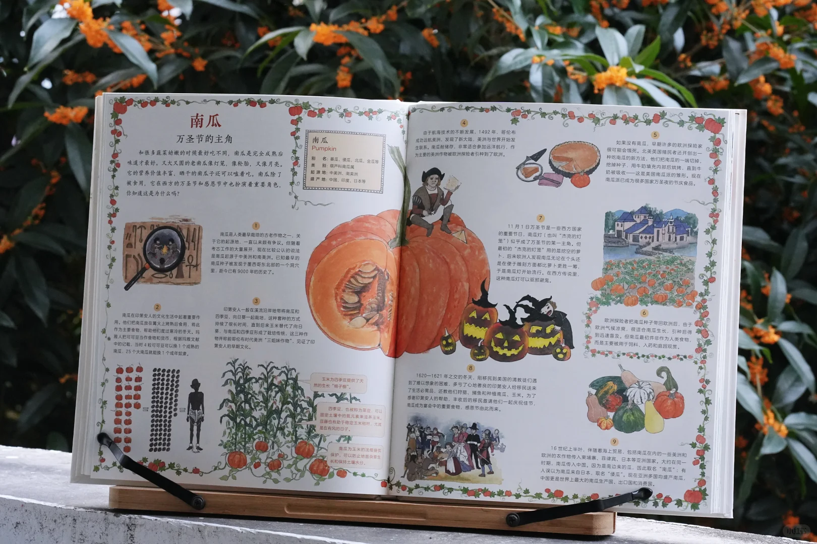 一起踏上作物之旅｜一本科普绘本