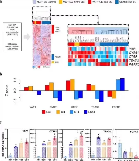 雷达信号处理,控制工程