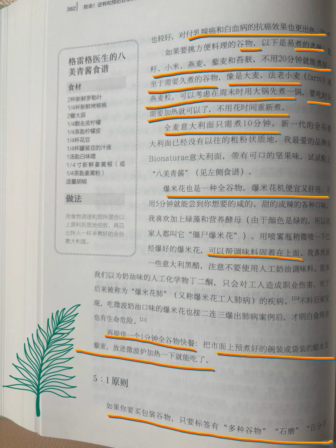 ?救命！吃错全谷物等于自吃？