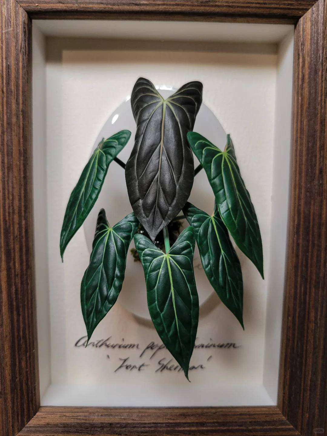 我想停止接单了