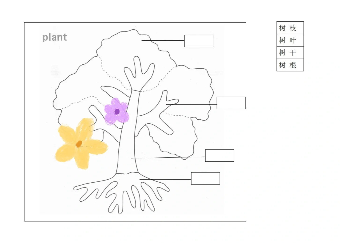 蒙氏｜科学文化领域纸上作业