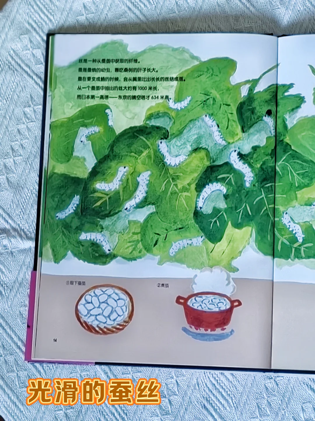 天气转凉!这本书让孩子秒懂衣服的神奇!