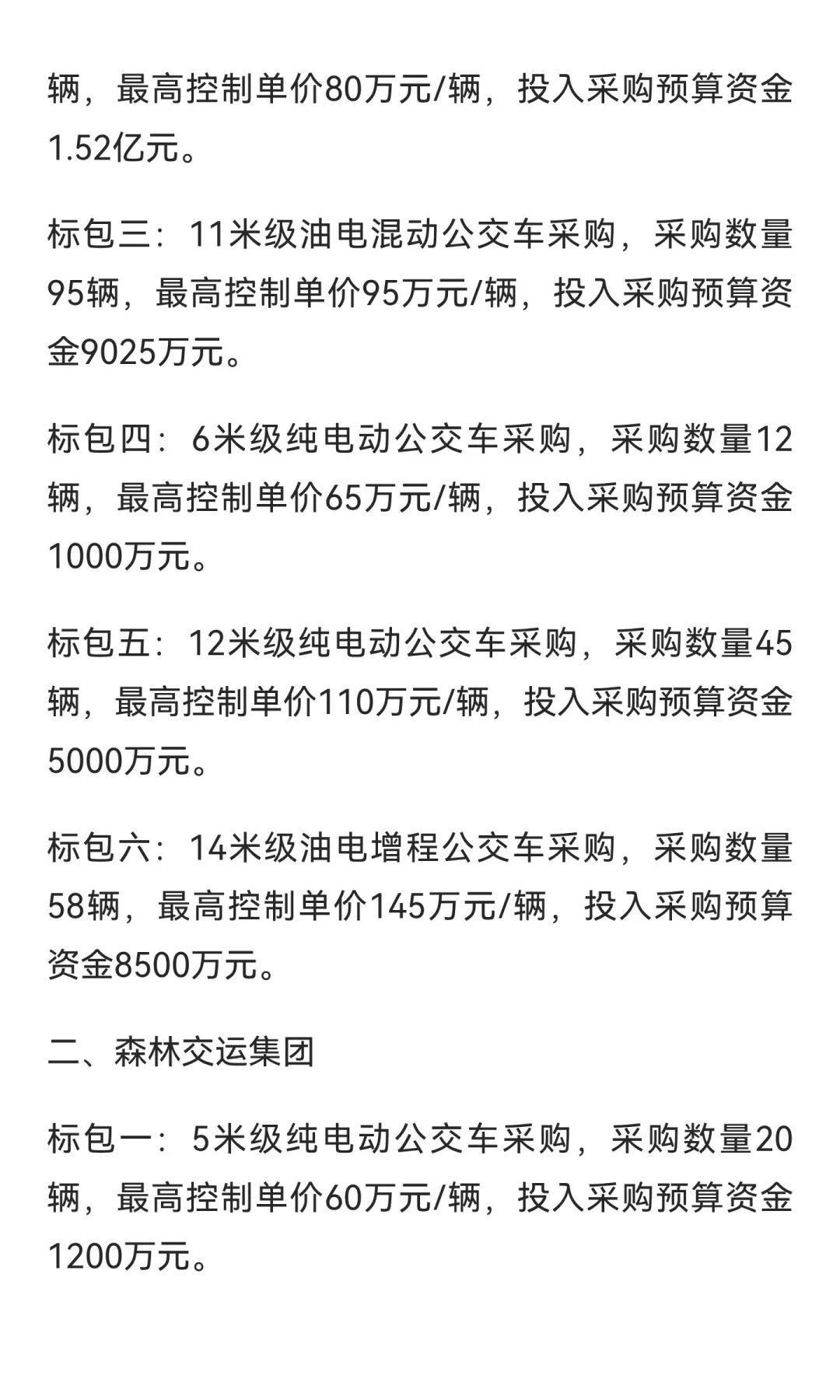 虚拟城市-森林市2025公交新车招标计划