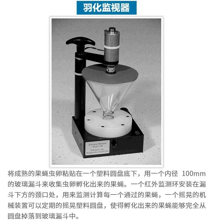 果蝇羽化监测器