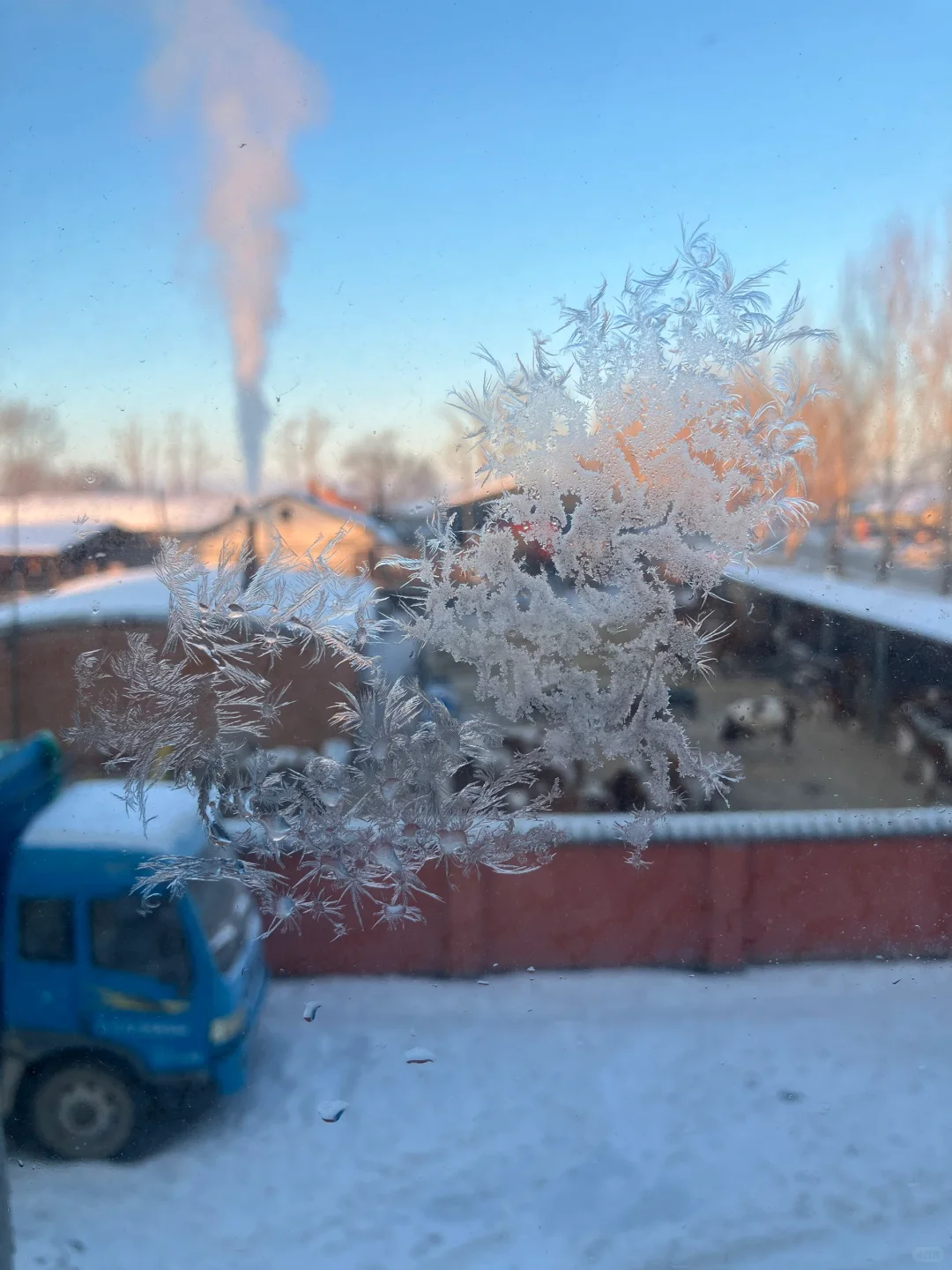 拍到非常规整的冰花