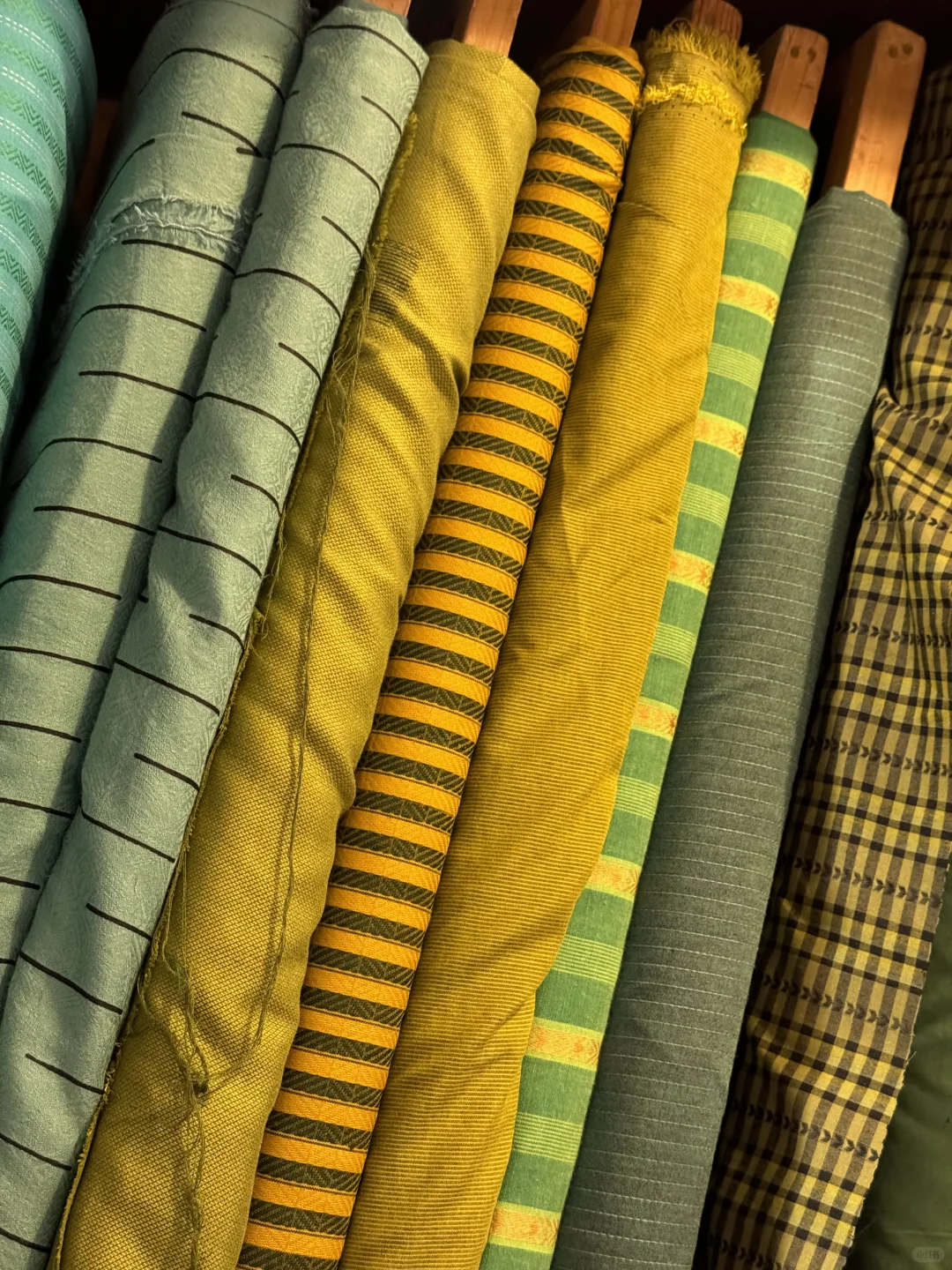 今年夏天 都给我锁死jamdani