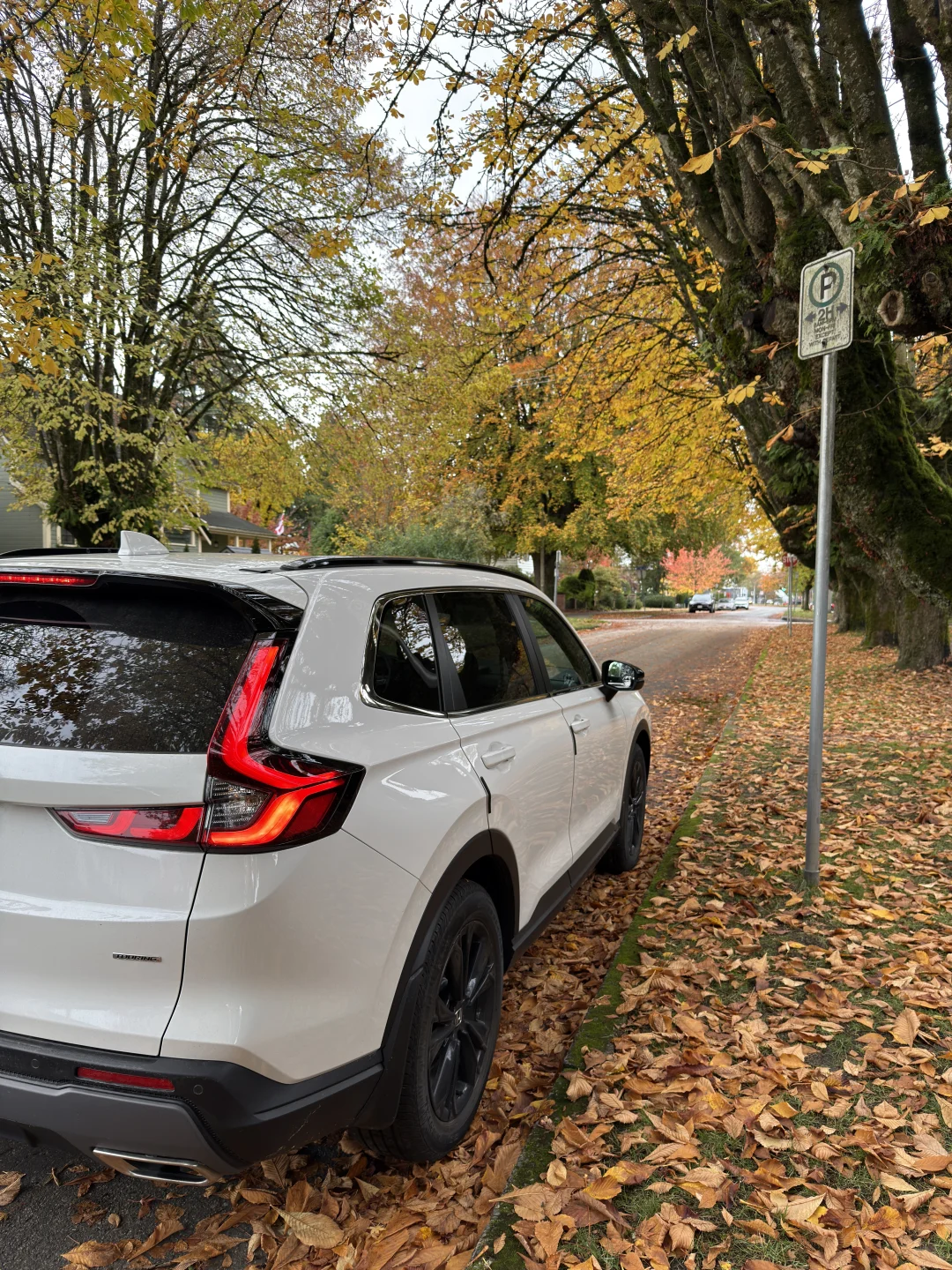 北美车主看过来，能不能打醒我？