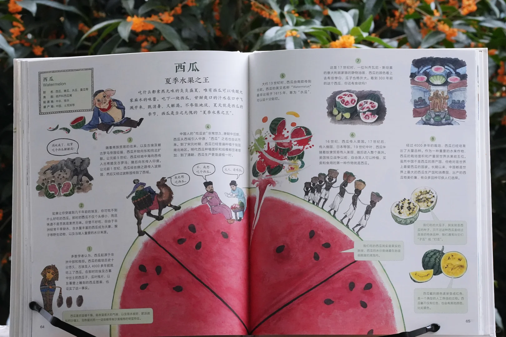 一起踏上作物之旅｜一本科普绘本