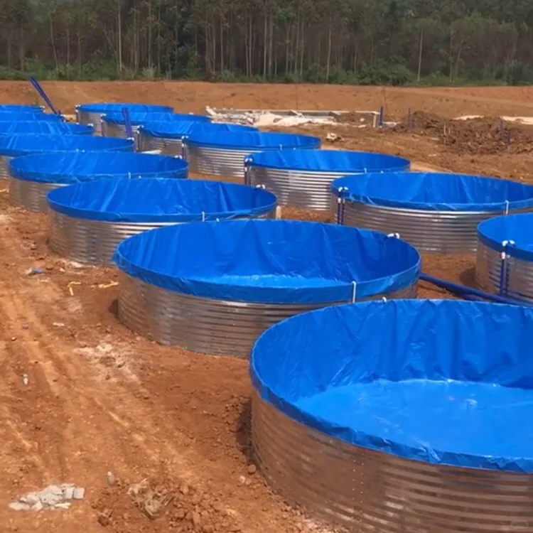 我劝你别碰:帆布池养鱼虾蟹等等等等