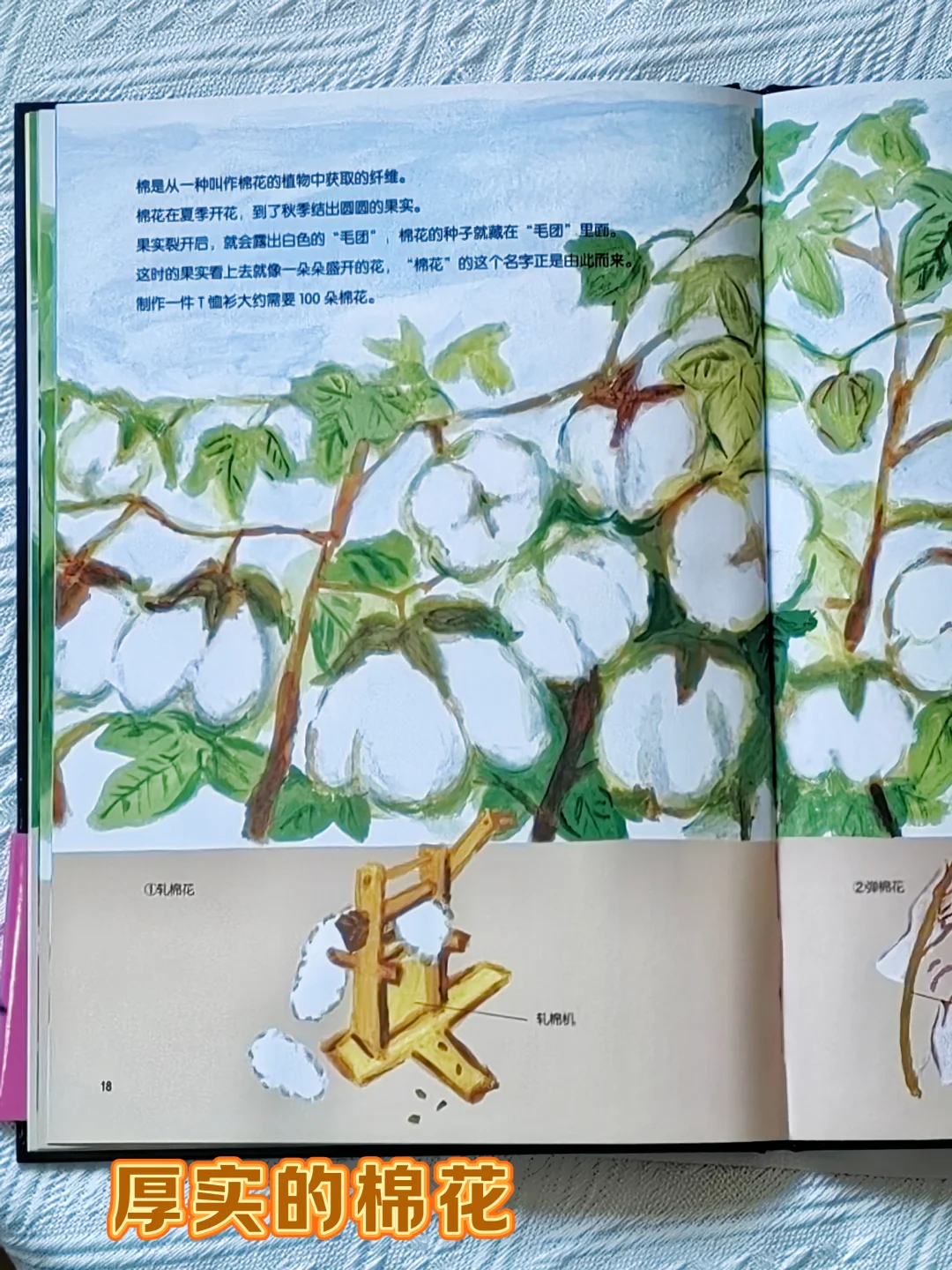 天气转凉!这本书让孩子秒懂衣服的神奇!