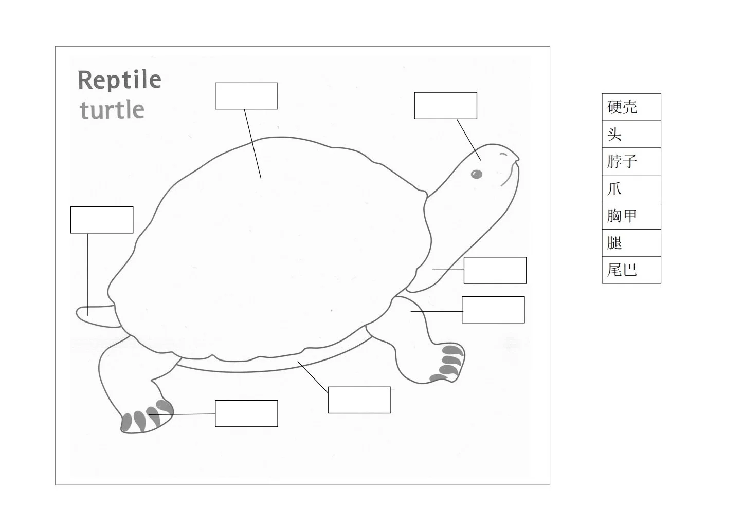 蒙氏｜科学文化领域纸上作业