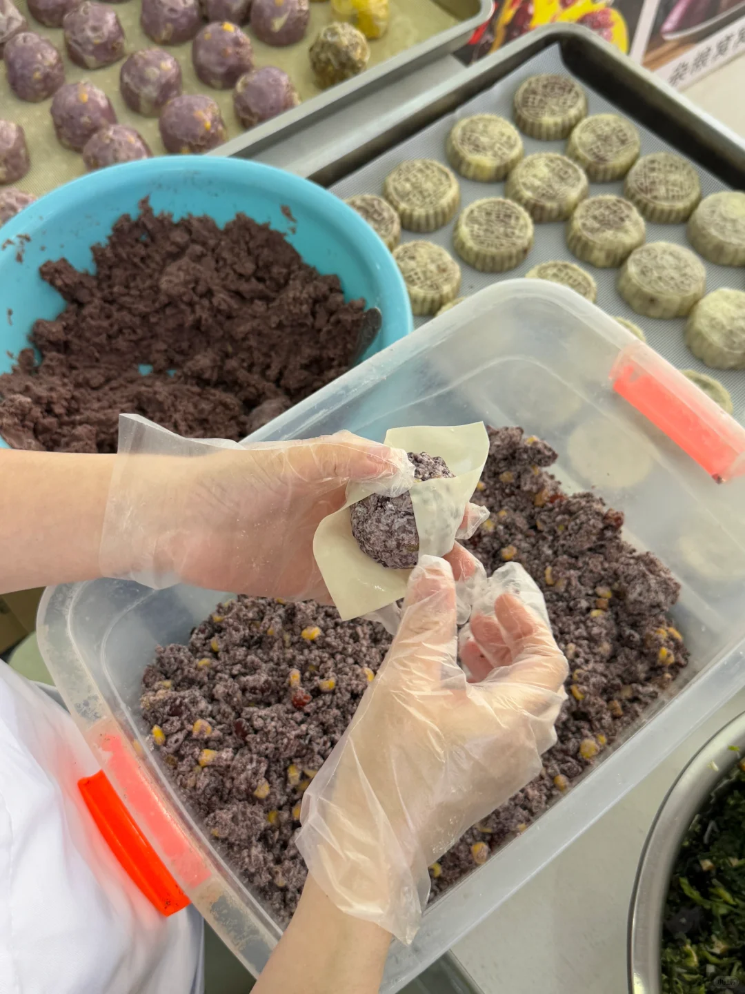 石家庄限定！石家庄限定！！