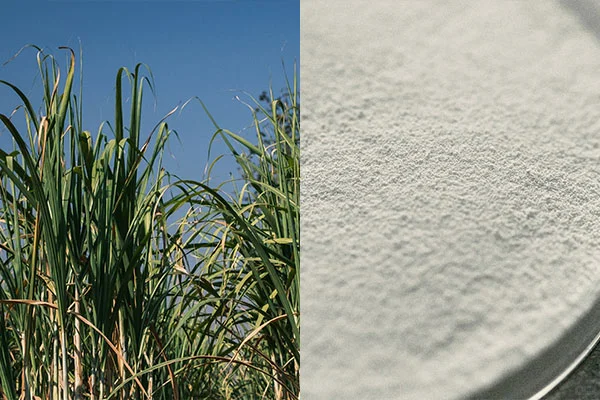 从甘蔗开始,一种“会发酵的纤维”来了