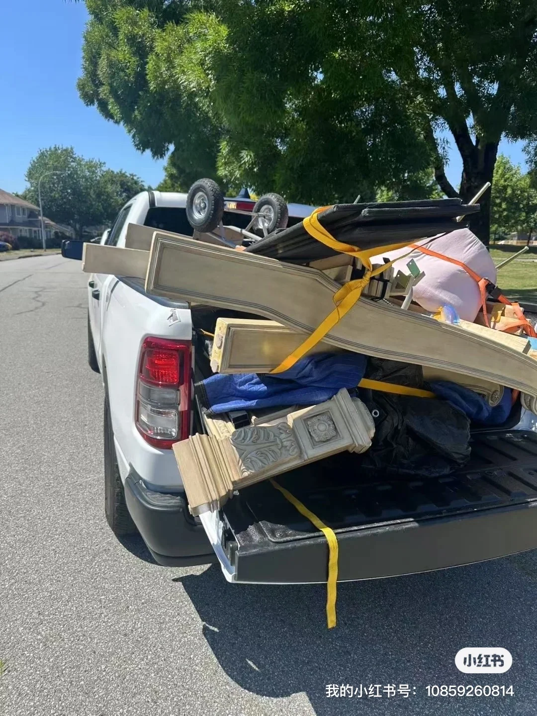 温哥华 垃圾分类 回收 让人头疼?