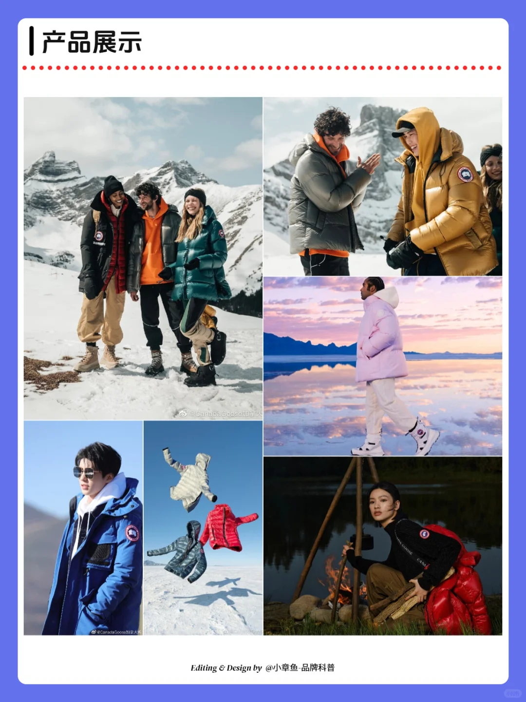 每天认识一个品牌 | 加拿大鹅