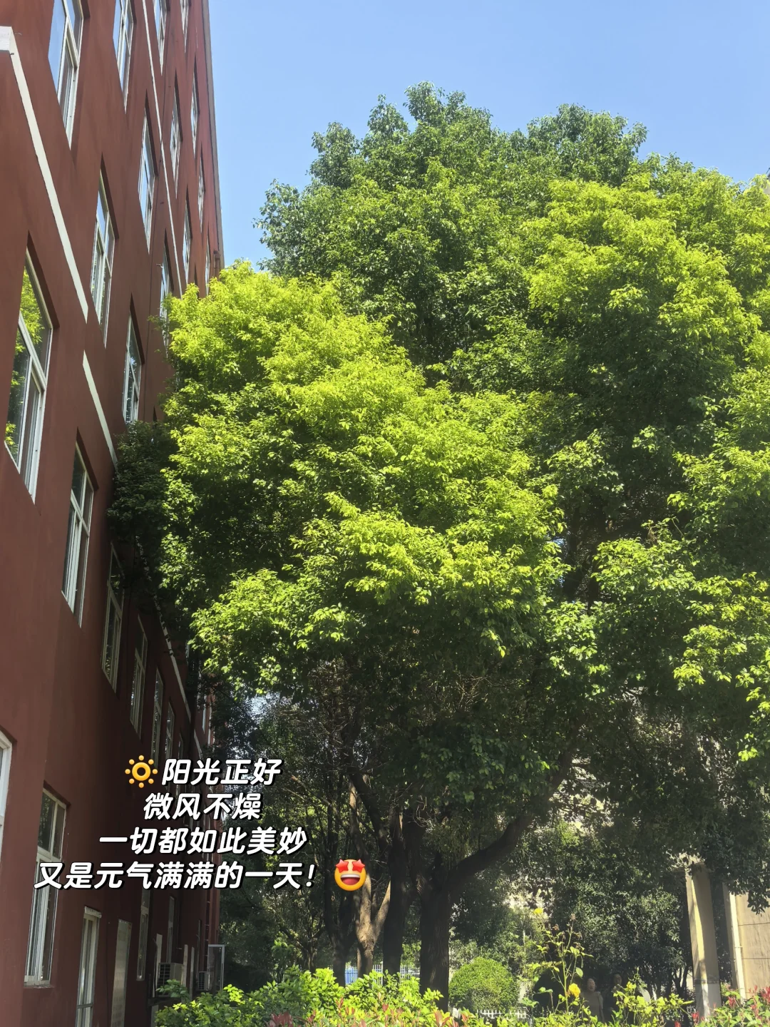 高智感穿搭,开会培训就得这样穿!✨