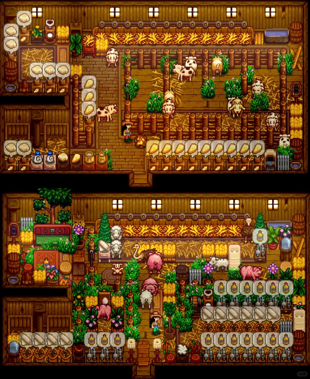 ?畜棚布局与知识猪牛羊制造养殖2合1新手向