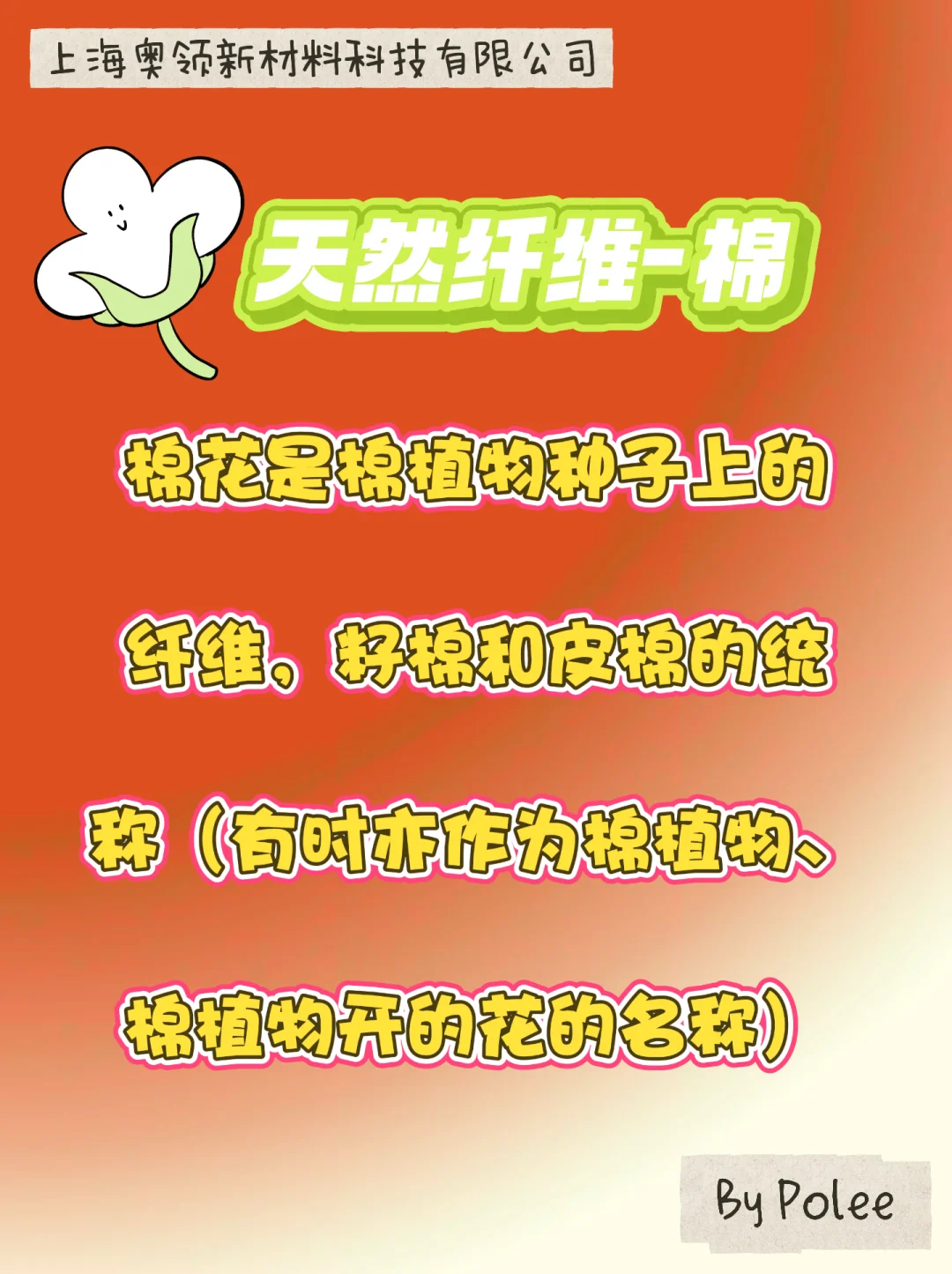 纤维的分类1️⃣