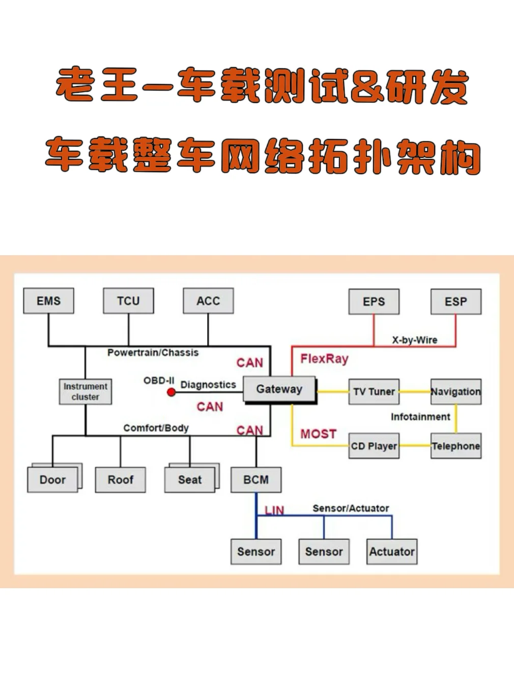 老王专栏｜车载整车网络架构全解析