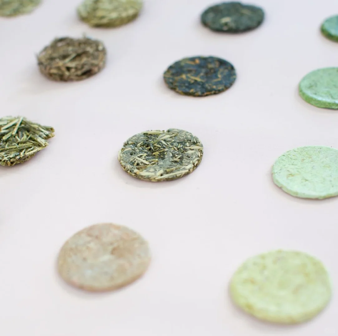 ?荨麻-生物基材料