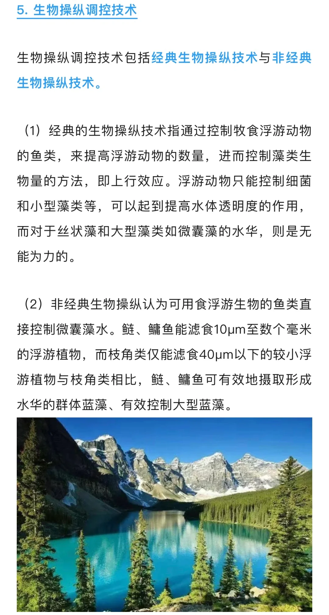 城市河湖治理中生态修复有哪些技术？