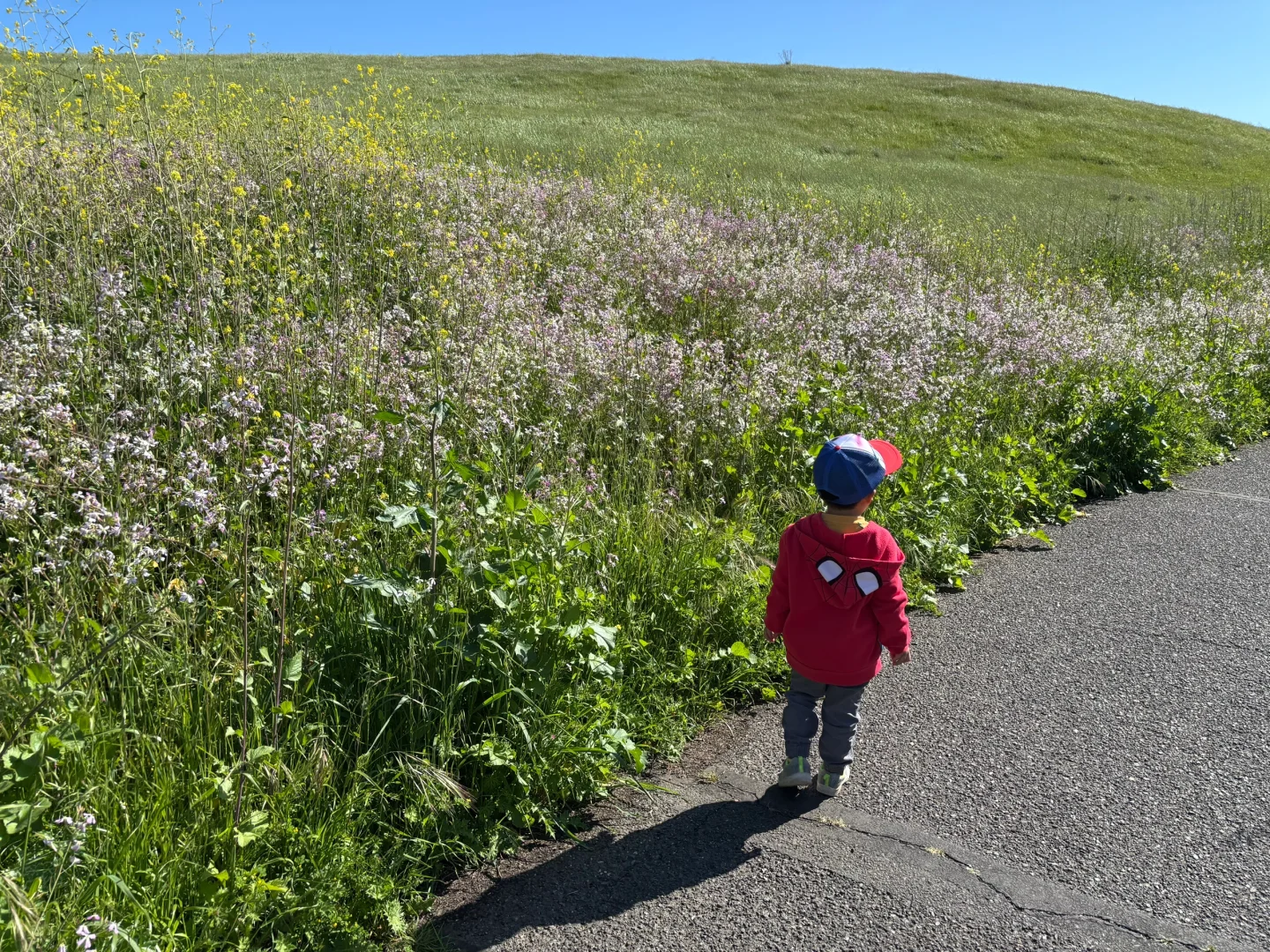 把春天收藏进树脂杯垫