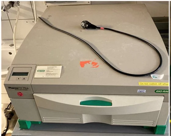 伯乐多通道荧光蛋白分析仪PharosFX Plus