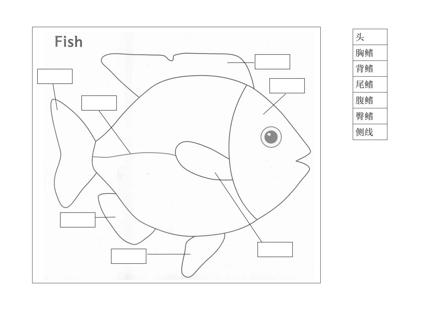蒙氏｜科学文化领域纸上作业