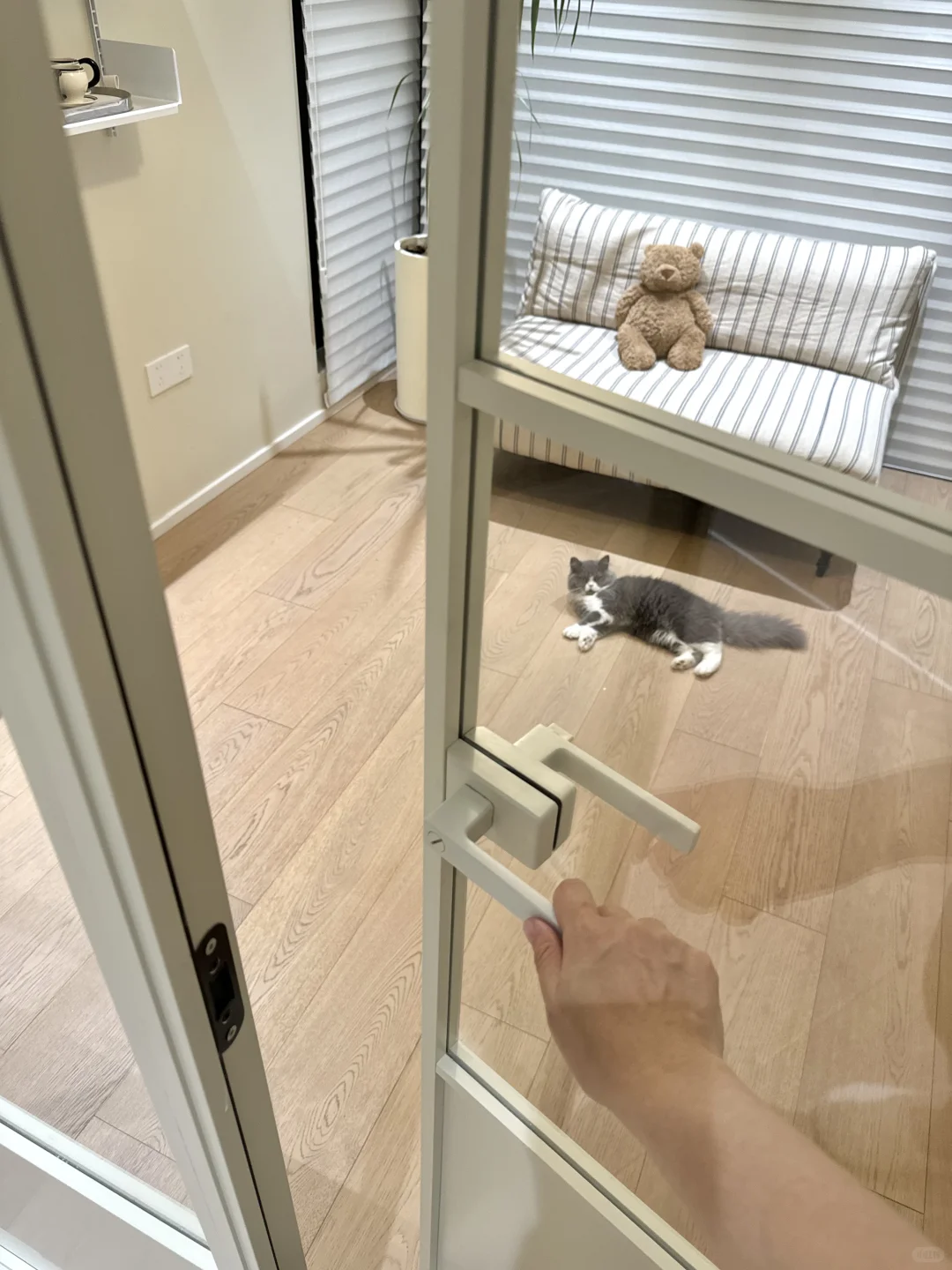 餐厅秒变开放式玻璃空间，美到犯规！