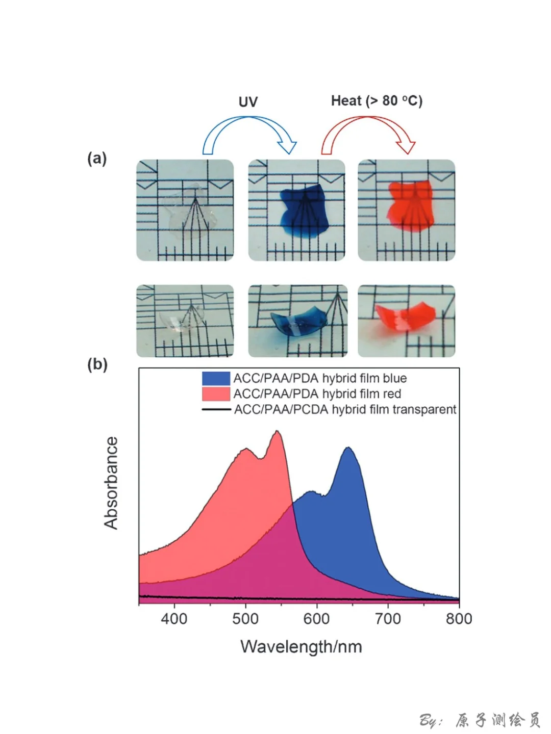 Angew：聚合物+ACC “矿物塑料”