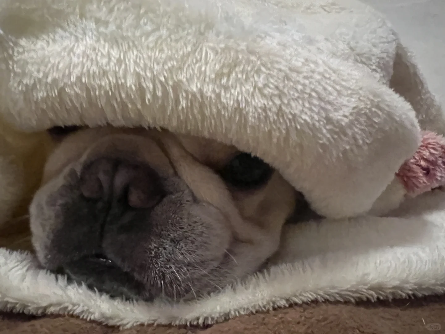 去北方买钢的伍建设