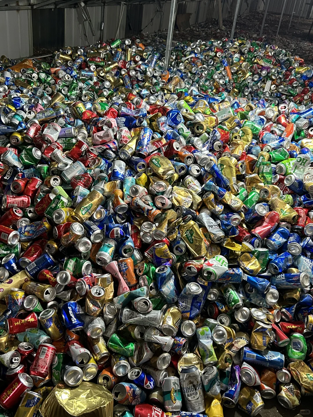 哪里有这么多易拉罐？